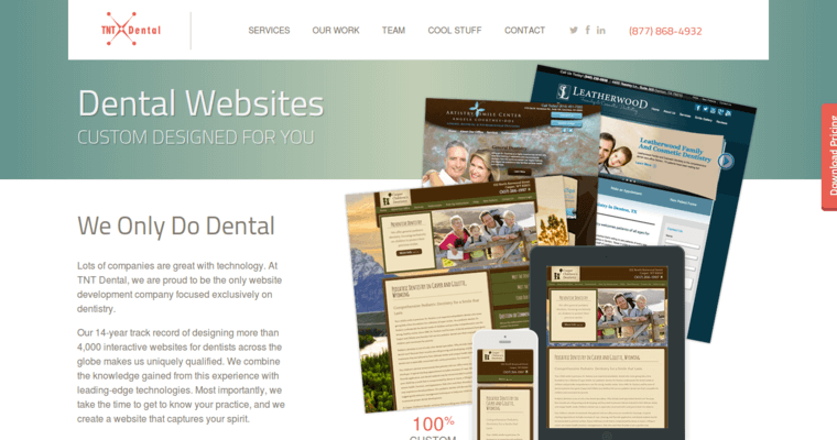 Websites page of #2 Best Dental Web Design Business: TNT Dental