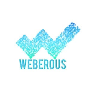 Best Enterprise Web Design Company Logo: Weberous