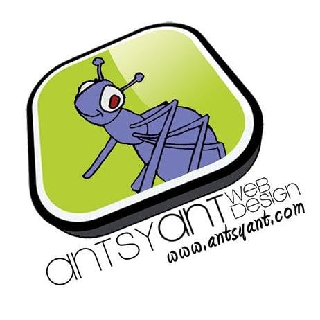 Best Honolulu Web Design Business Logo: Antsy Ant Web Design