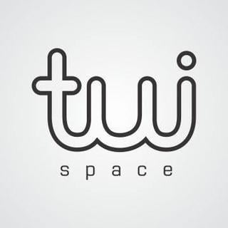 Best Houston Web Development Business Logo: TuiSpace