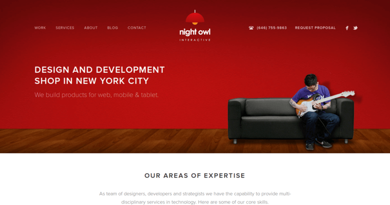 Home page of #3 Top New web design Business: Night Owl Interactive