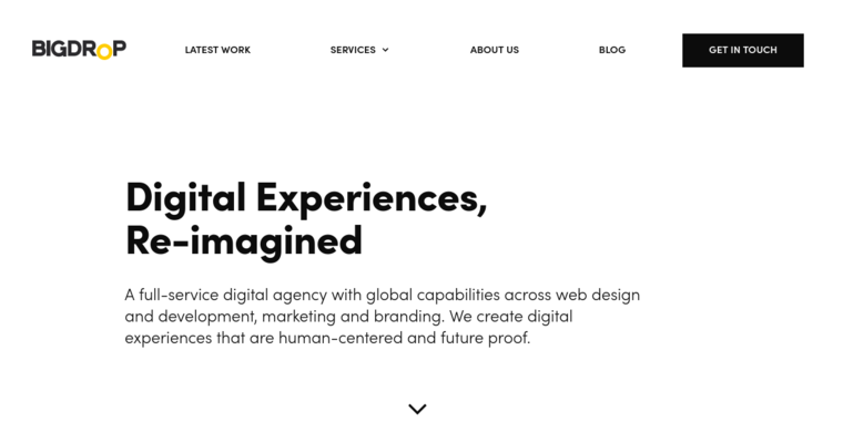 Home page of #2 Top NYC Website Design Firm: Big Drop Inc