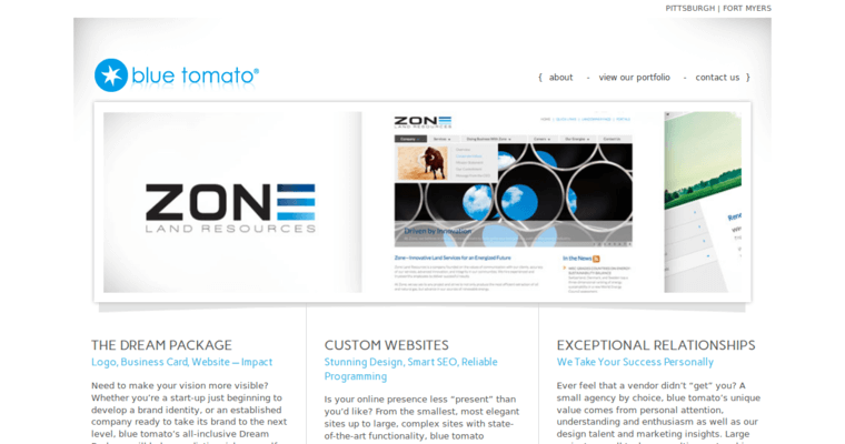 Home page of #7 Best Pittsburgh Web Development Company: Blue Tomato 