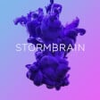 Best San Diego Web Design Company Logo: Storm Brain
