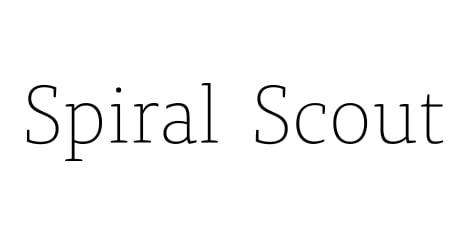 Best Bay Area Web Design Business Logo: Spiral Scout
