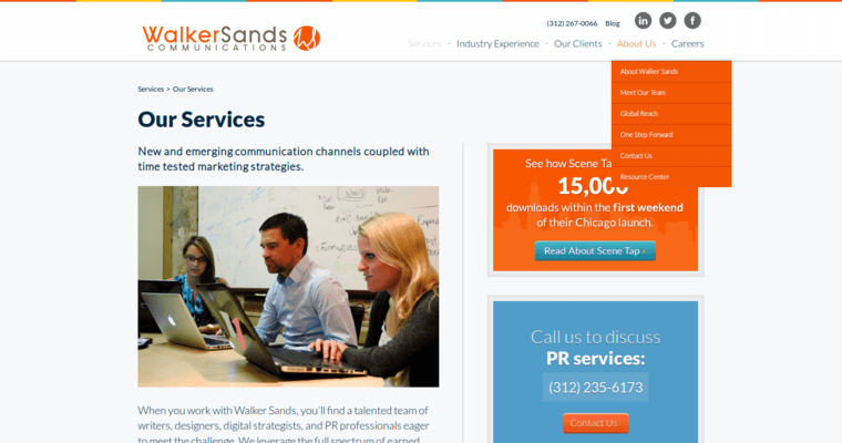Services Page of Top Web Design Firms in Illinois: Walker Sands