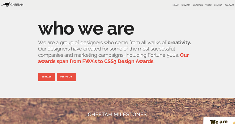 About Page of Top Web Design Firms in Texas: Cheetah Local