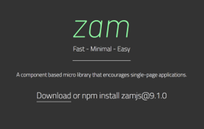 Boost Your Website with Zam, an Advanced Programming Libary