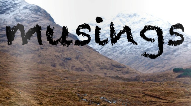 Musings on the Current Aesthetic and use of Japanese Websites