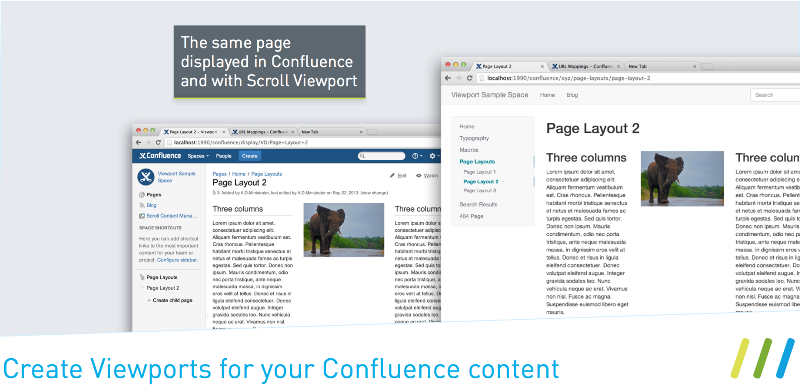 A Strategy for Managing View Port Issues