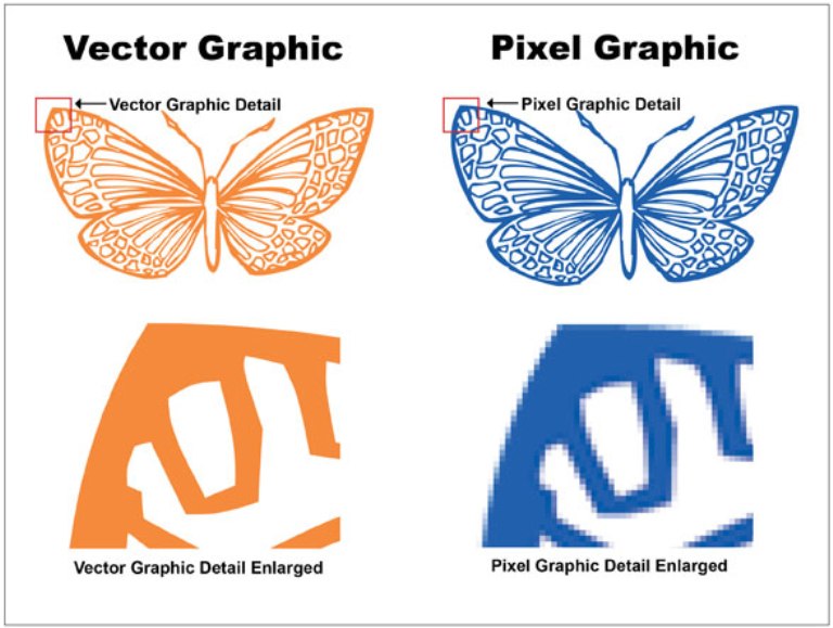 Coders Are Taking a Close Look at Vector Based Graphics