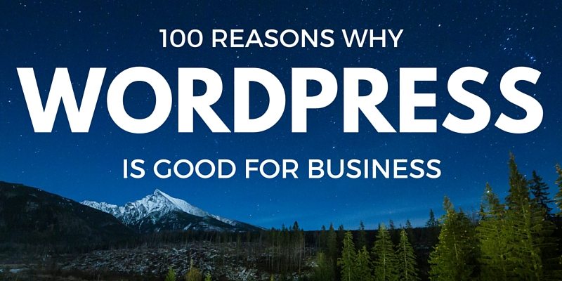 Fledgling companies can use platforms like WordPress to their advantage, building websites that will last for the long haul.