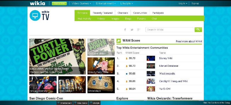 Specifications for Websites Hosted on the Fandom Platform