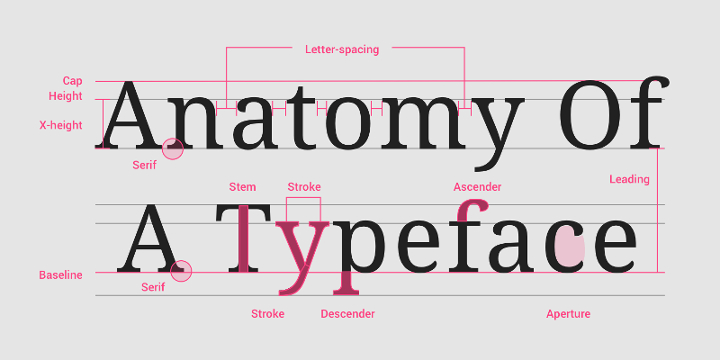 Typefaces and Font Types: A Brief Primer