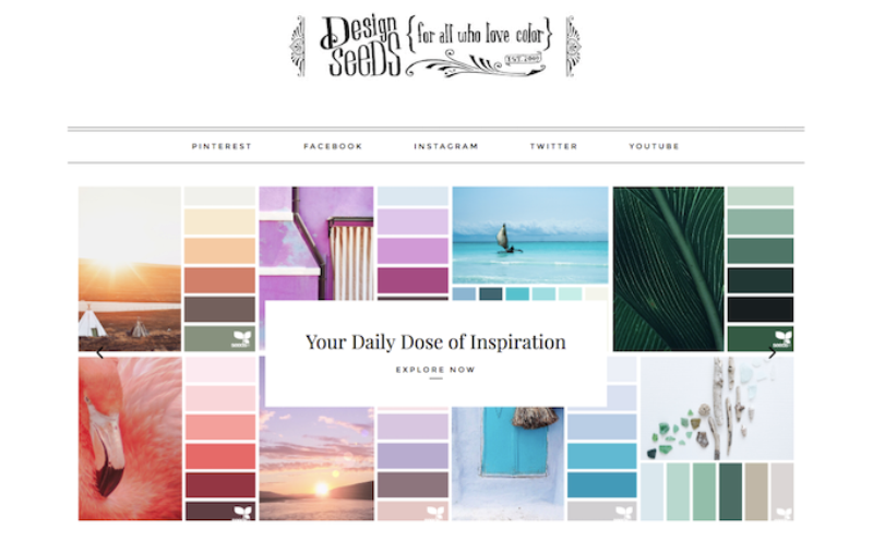 How Colorinspo Can Paint Your Project Right
