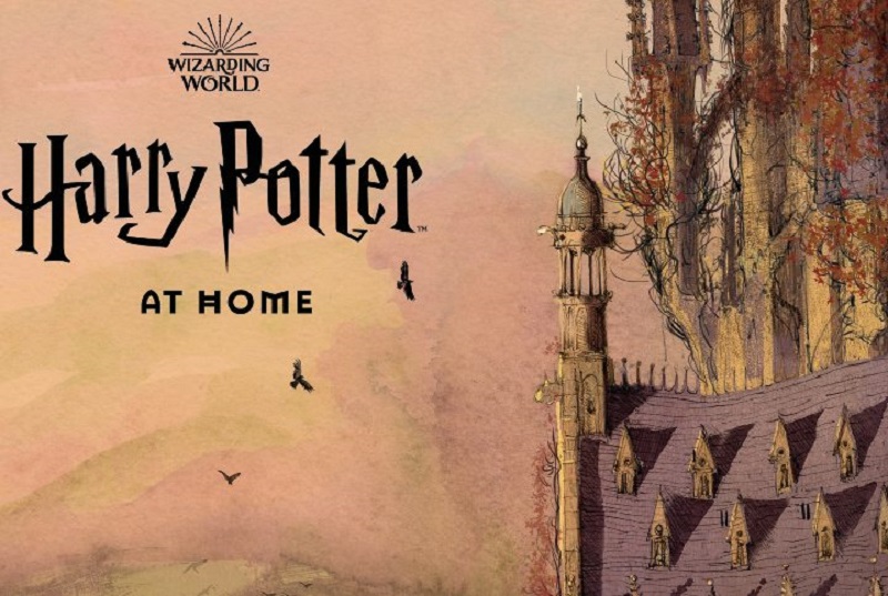 Website Designer's Comments on a New Edition of Harry Potter