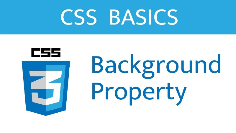 Discover More About the CSS Background Property in this Guide