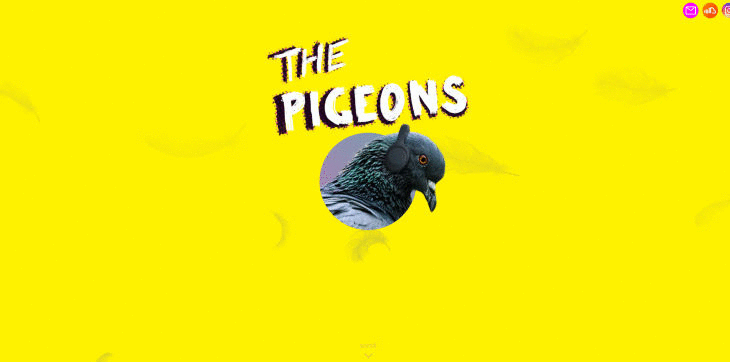 "My First Animated JS Website" About Pigeons (Band); Online Group Critiques Designer's Debut Site