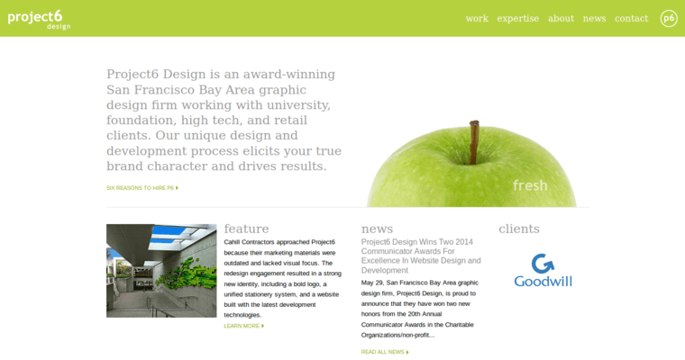 Home page of #20 Best Website Design Firm: Project6