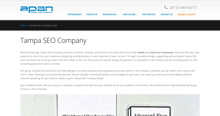 Company page of #20 Best Web Design Business: Apan Software