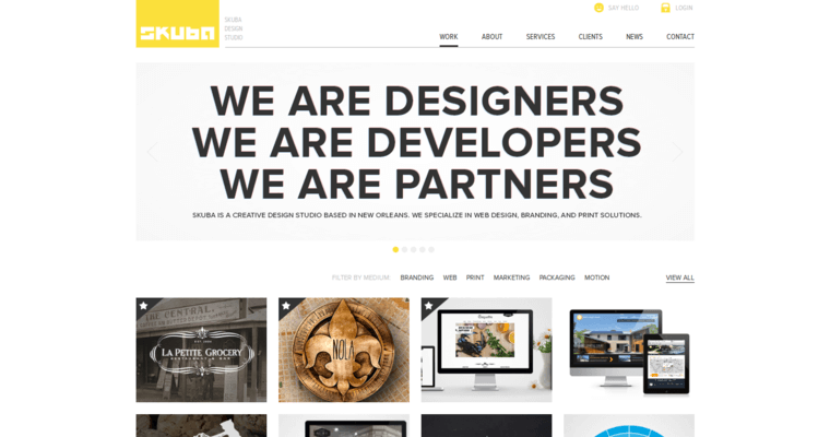 Home page of #22 Top Web Design Agency: Skuba Design