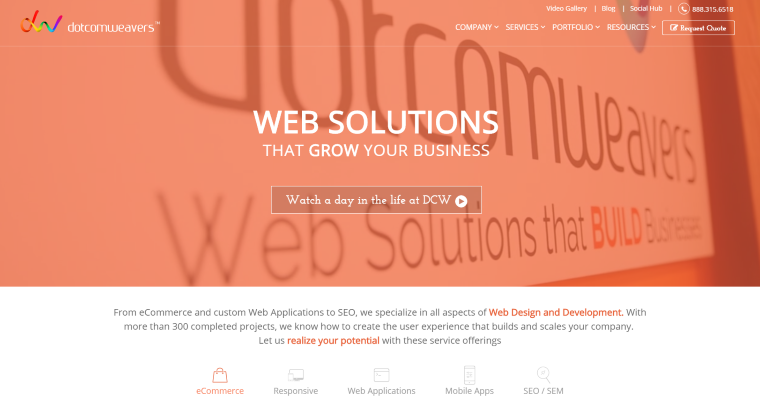 Home page of #6 Best Web Development Agency: Dotcomweavers