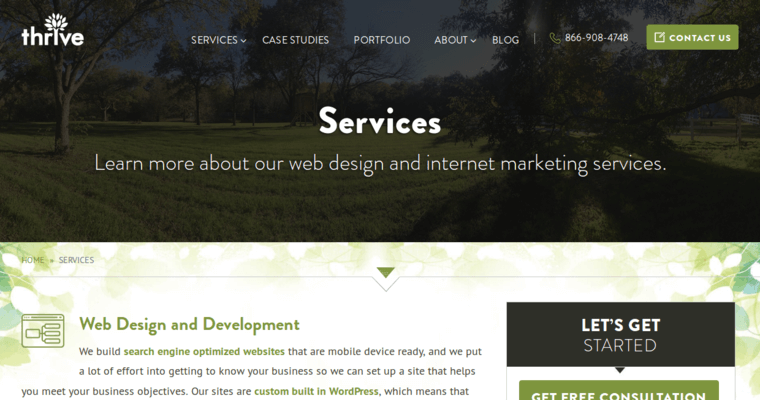Service page of #23 Best Website Design Company: Thrive Internet Marketing