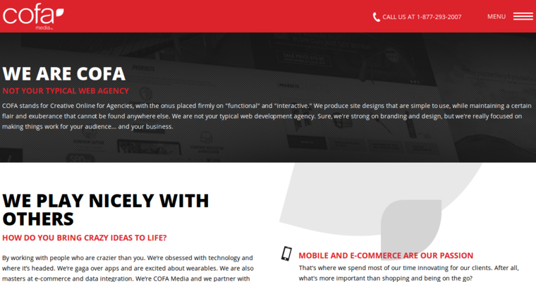 About page of #12 Top Web Development Firm: Cofa Media