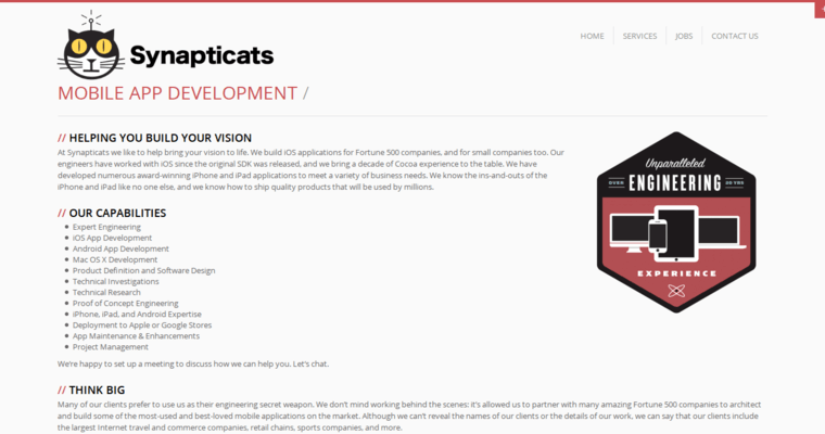 Service page of #10 Leading iPad App Development Business: Synapticats