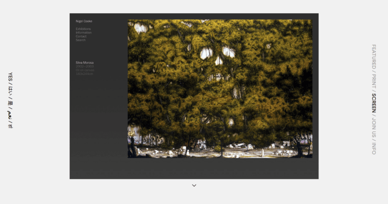 Screen page of #8 Best Architecture Web Development Firm: Yes Studio