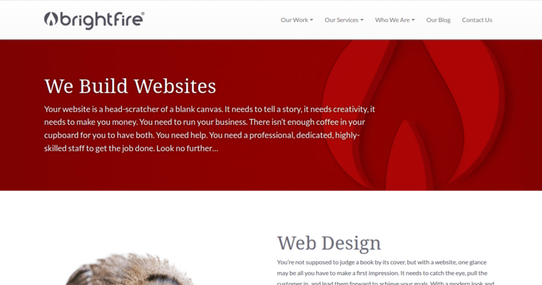 Websites page of #6 Leading Atlanta Company: Brightfire