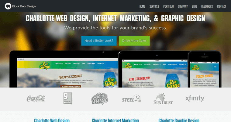 Home page of #10 Best Atlanta web design Business: Black Bear Design 