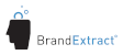Top Naming Company Logo: BrandExtract