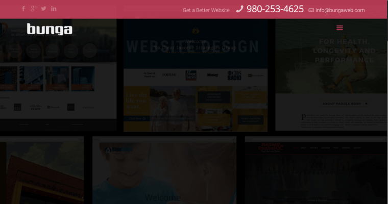 Web Design page of #3 Top Charlotte Web Development Firm: Bunga Web Design