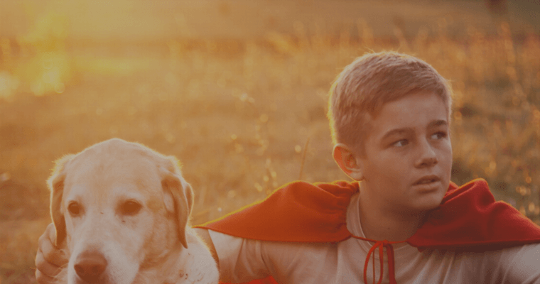 Home page of #8 Best Charlotte Web Development Company: Synchronicity Web Designs, LLC