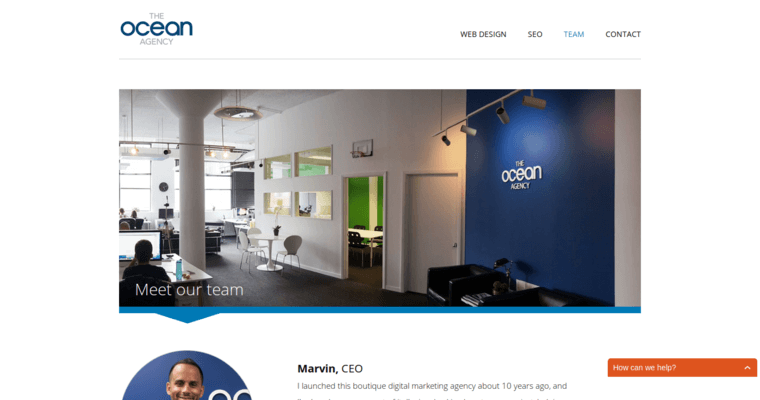 Team page of #9 Best Chicago Website Design Firm: Ocean19