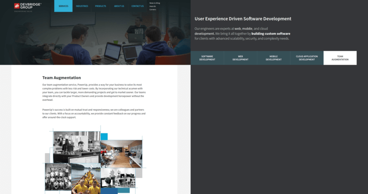 Service page of #2 Top Chicago Web Development Business: Devbridge Group