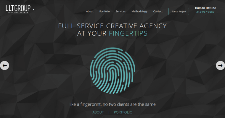 Home page of #6 Top Chicago Web Design Company: LLT Group