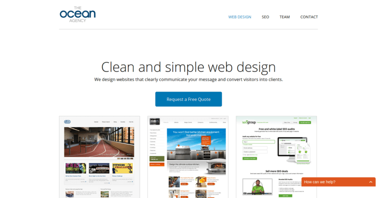 Home page of #4 Best Chicago Web Design Business: Ocean19