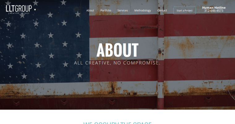 About page of #7 Top Chicago Web Design Company: LLT Group