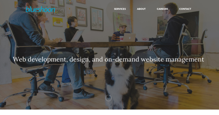 Home page of #4 Top Chicago Web Design Agency: blueshoon