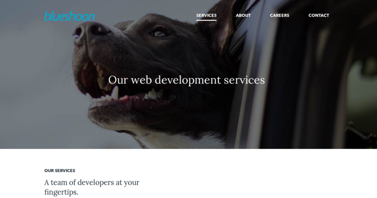 Service page of #4 Top Chicago Web Development Firm: blueshoon