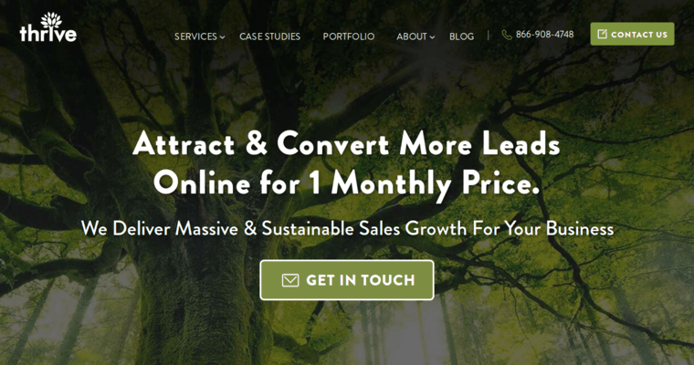 Home page of #1 Top Dallas Website Design Business: Thrive Internet Marketing