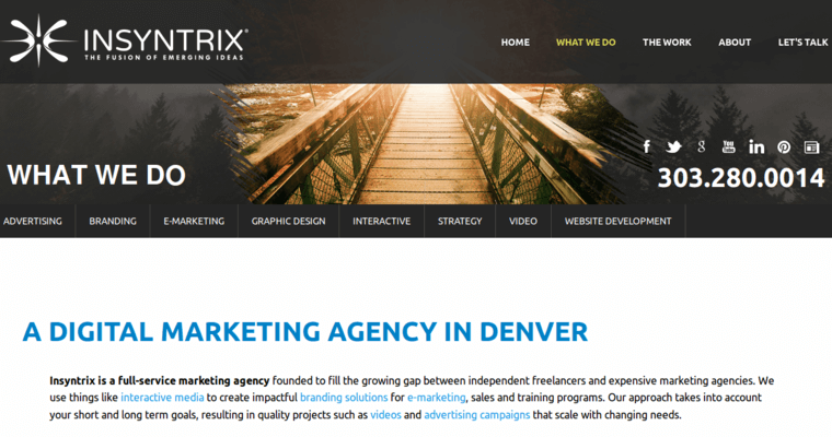 What page of #1 Top Denver Web Design Business: Insyntrix