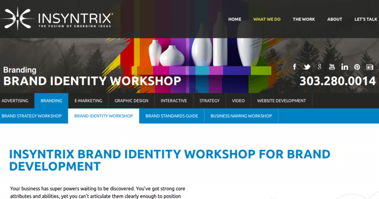 Work page of #1 Top Denver Web Design Company: Insyntrix