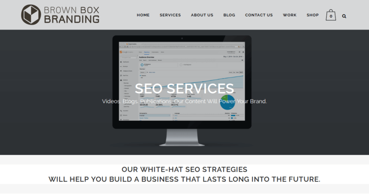Service page of #3 Best Detroit Web Development Business: Brown Box Branding