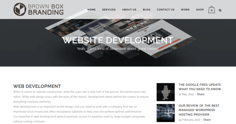 Development page of #5 Top Detroit Web Design Business: Brown Box Branding