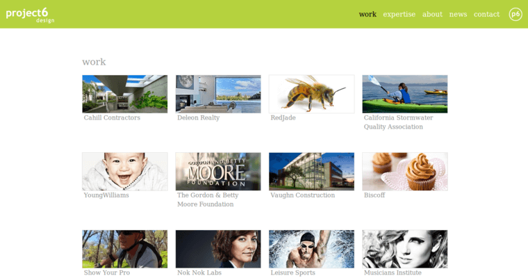 Work page of #10 Leading Drupal Web Design Agency: Project6