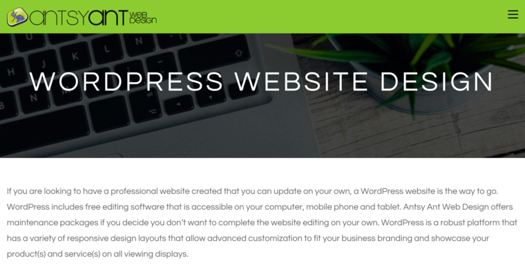 Service page of #4 Best Honolulu Web Development Business: Antsy Ant Web Design