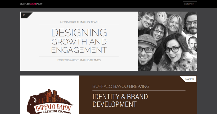 Home page of #2 Leading Houston Website Development Firm: Culture Pilots